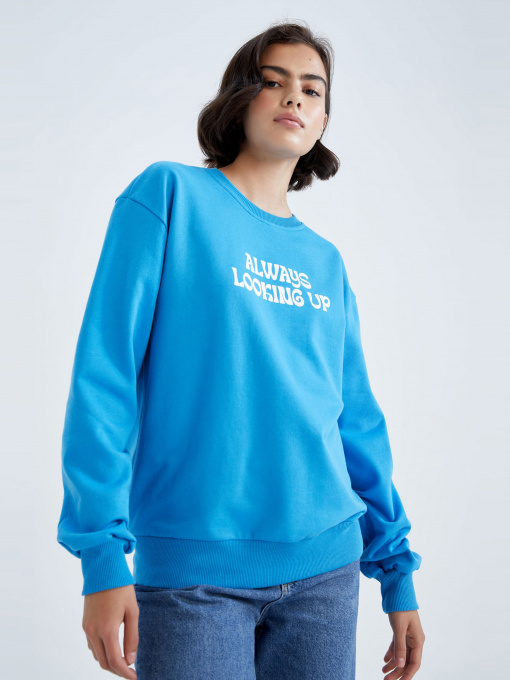 Свитшот DeFacto модель Y1250AZ-BE143 Фото