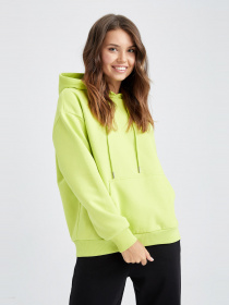 Худі DeFacto модель W1240AZ-GN630 Фото