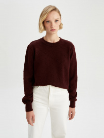 Джемпер DeFacto модель T7654AZ-BN450 Фото