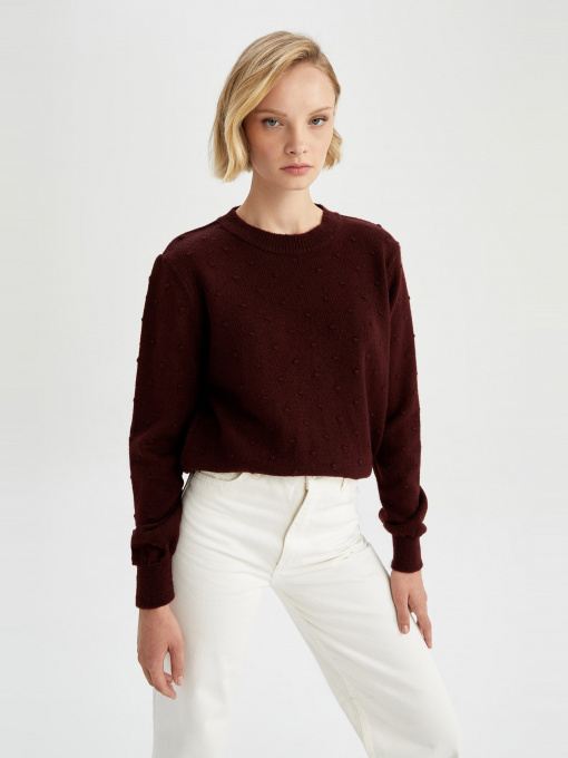 Джемпер DeFacto модель T7654AZ-BN450 Фото