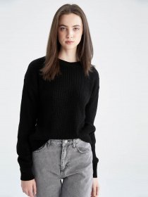 Джемпер DeFacto модель H6905AZ-BK27 Фото