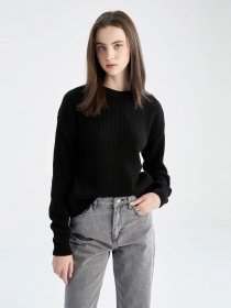 Джемпер DeFacto модель H6905AZ-BK27 Фото