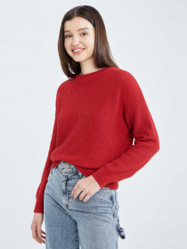 Джемпер DeFacto модель H6905AZ-BR210 Фото