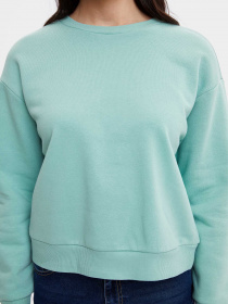 Свитшот DeFacto модель M3416AZ-GN225 Фото