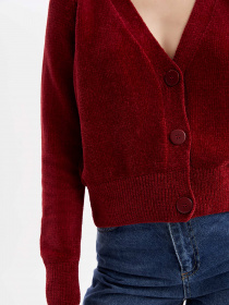 Кардиган DeFacto Bordeaux модель R1343AZ-BR215 Кардиган DeFacto Bordeaux модель R1343AZ-BR215 Фото