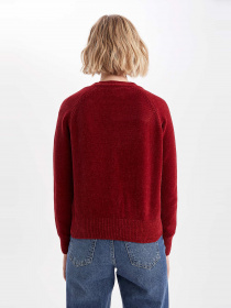 Кардиган DeFacto Bordeaux модель R1343AZ-BR215 Кардиган DeFacto Bordeaux модель R1343AZ-BR215 Фото