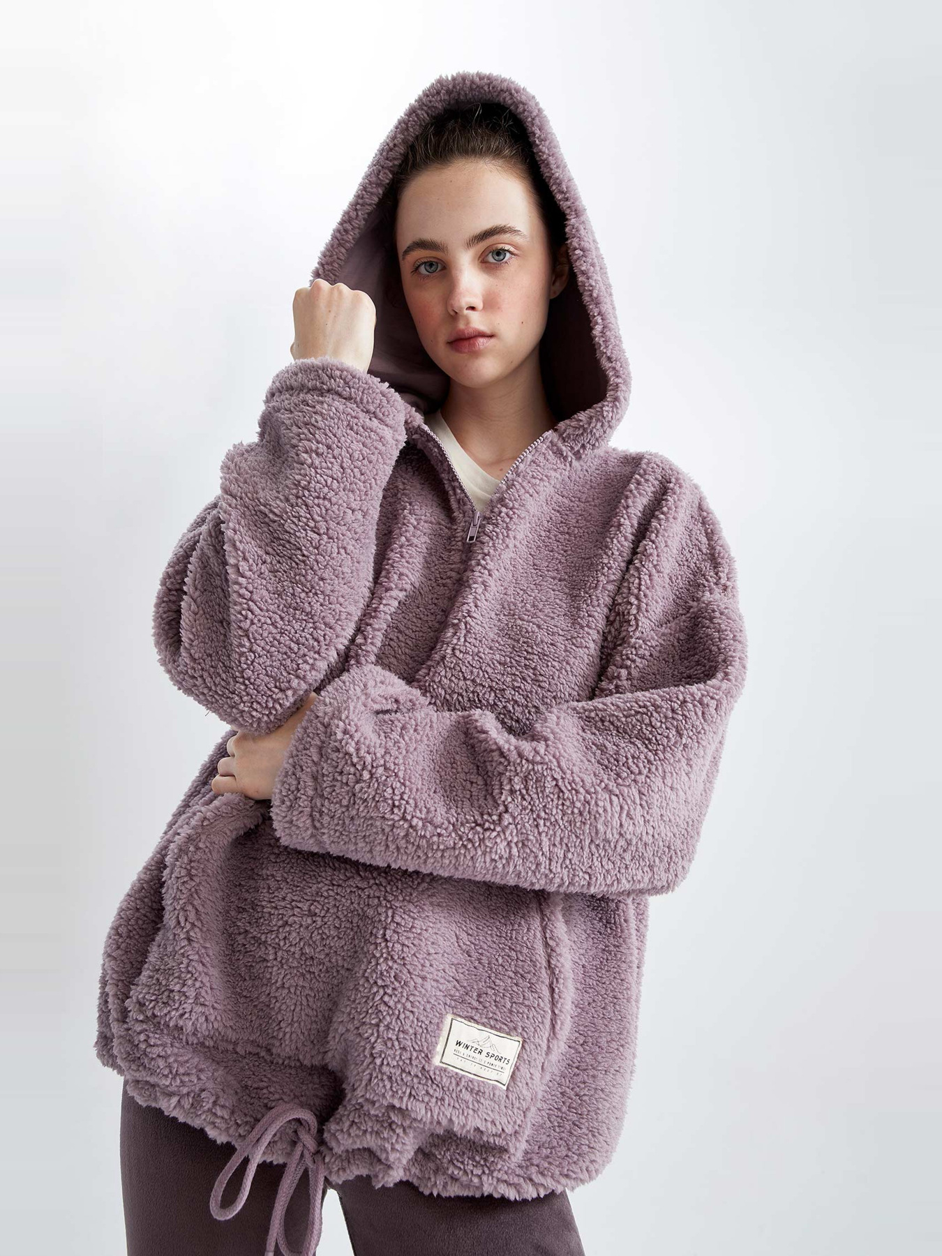 Худи DeFacto Шерпа модель Y5394AZ-PR313 Фото