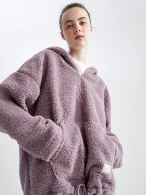 Худи DeFacto Шерпа модель Y5394AZ-PR313 Фото