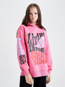 Худи DeFacto модель Y6514AZ-PN595 Фото