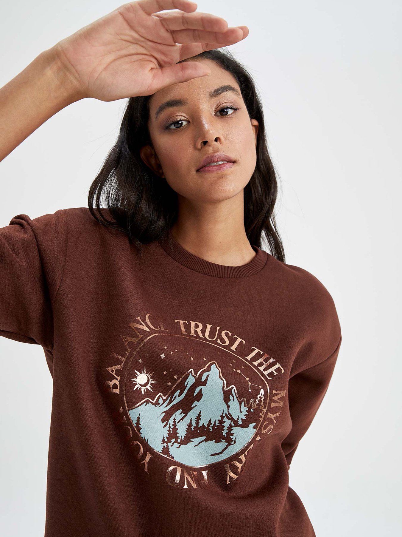 Свитшот DeFacto модель Y8457AZ-BN330 Фото