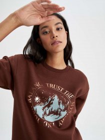 Свитшот DeFacto модель Y8457AZ-BN330 Фото