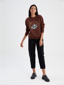 Свитшот DeFacto модель Y8457AZ-BN330 Фото