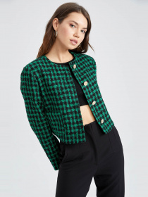 Блейзер DeFacto модель Y8585AZ-GN747 Фото