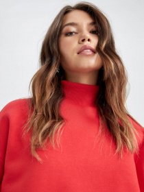 Світшот DeFacto модель Y9963AZ-RD117 Фото