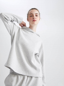 Худі DeFacto модель Z0688AZ-GR210 Фото