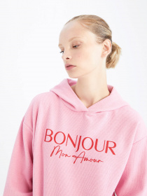 Худі DeFacto модель Z1500AZ-PN83 Фото