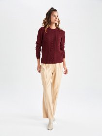 Джемпер DeFacto модель X5910AZ-BR87 Фото