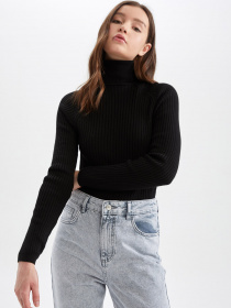 Водолазка DeFacto модель X7912AZ-BK27 Фото