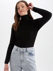 Гольф DeFacto модель X7912AZ-BK27 Гольф DeFacto модель X7912AZ-BK27 Фото