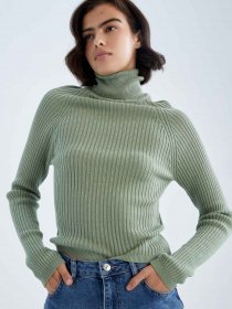 Водолазка DeFacto Модель X7912AZ-GN768 Фото