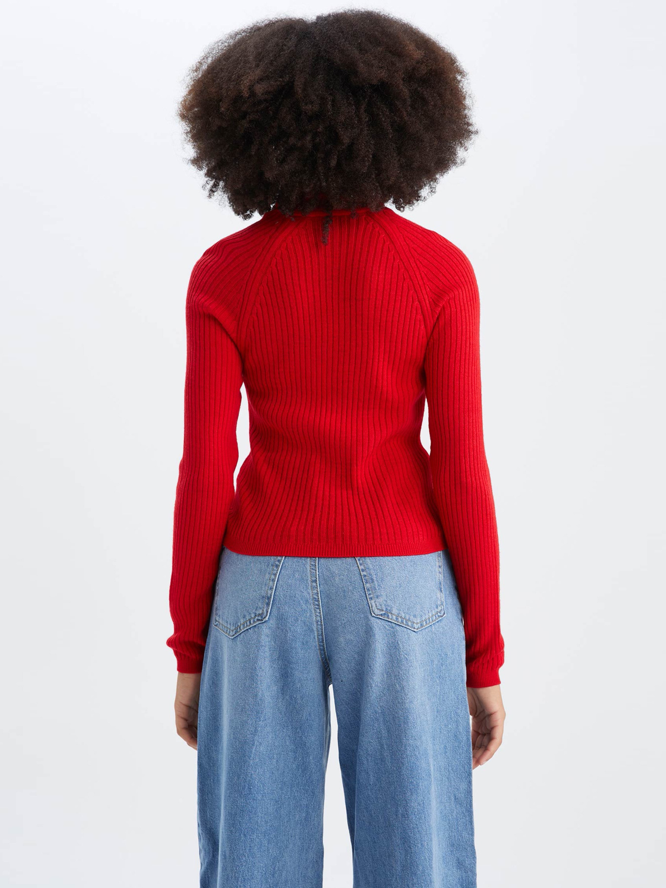 Водолазка DeFacto Модель X7912AZ-RD227 Фото