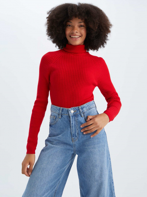 Водолазка DeFacto модель X7912AZ-RD227 Фото