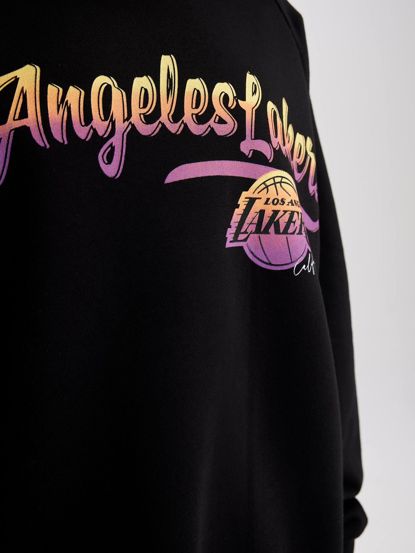 Світшот DeFacto модель Z2961AZ-BK81 Фото