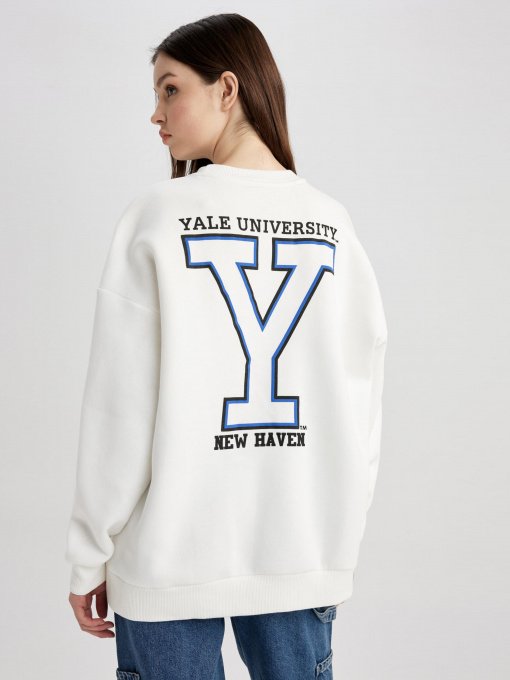 Світшот DeFacto Модель Z9818AZ-WT16 Фото