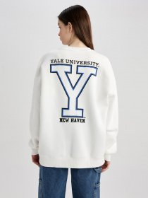 Світшот DeFacto модель Z9818AZ-WT16 Фото