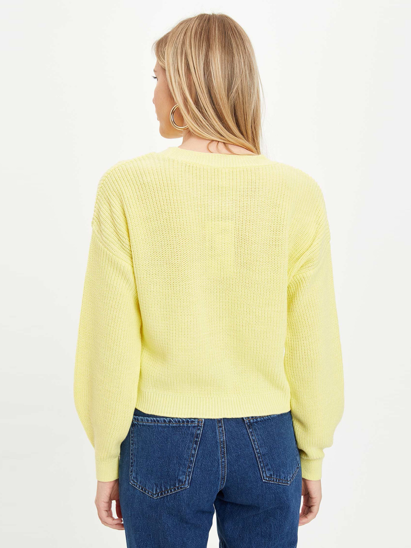 Джемпер DeFacto модель L2567AZ-YL273 Фото