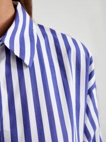 Сорочка повсякденна DeFacto модель A2309AX-BE60 Фото