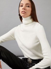 Водолазка DeFacto модель H1651AZ-ER99 Фото