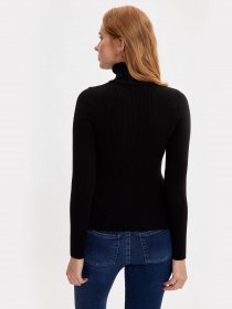 Водолазка DeFacto модель R8487AZ-BK27 Фото