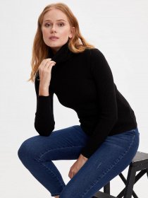 Водолазка DeFacto модель R8487AZ-BK27 Фото