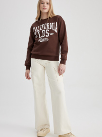 Свитшот DeFacto модель A4738AX-BN505 Фото