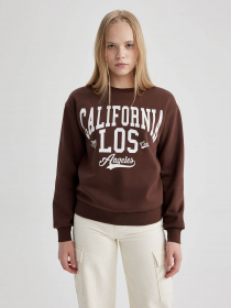 Свитшот DeFacto модель A4738AX-BN505 Фото