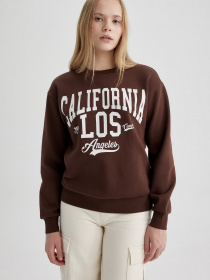 Світшот DeFacto модель A4738AX-BN505 Фото