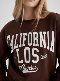 Світшот DeFacto модель A4738AX-BN505 Фото