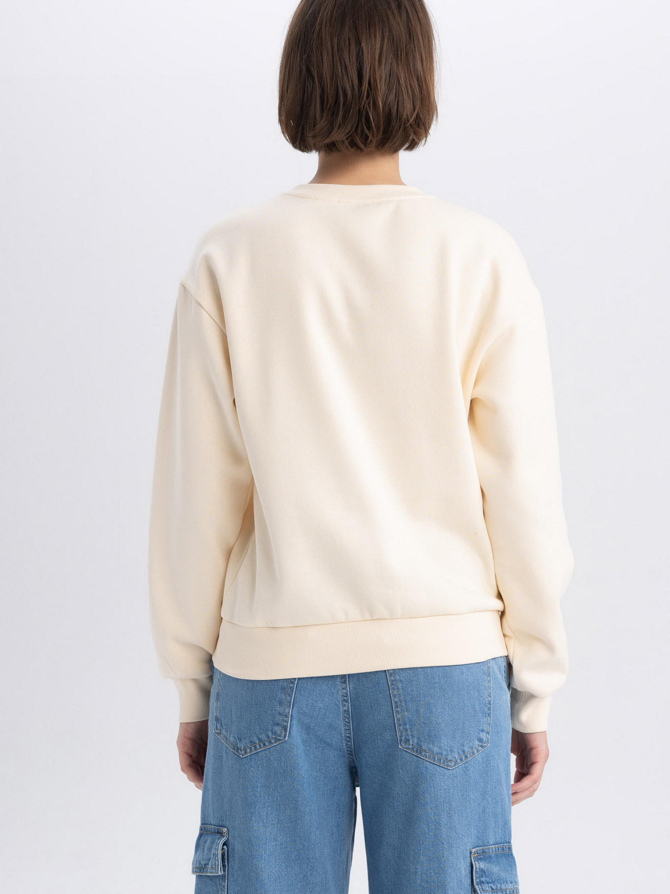 Свитшот DeFacto модель A4739AX-ER103 Фото