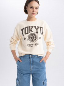 Свитшот DeFacto модель A4739AX-ER103 Фото