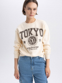 Свитшот DeFacto модель A4739AX-ER103 Фото