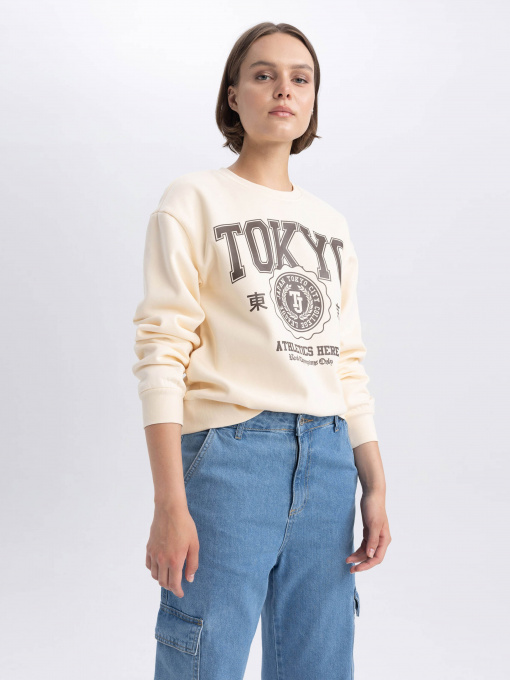 Свитшот DeFacto модель A4739AX-ER103 Фото