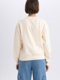 Світшот DeFacto модель A4739AX-ER103 Фото