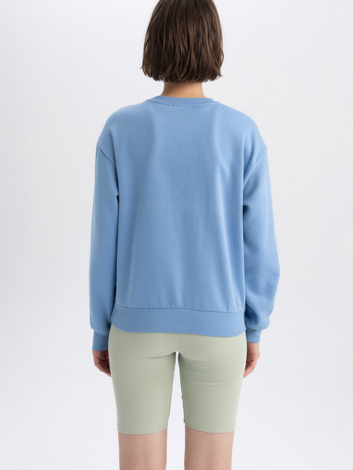 Світшот DeFacto модель A4740AX-BE756 Фото