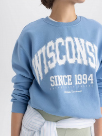 Світшот DeFacto модель A4740AX-BE756 Фото