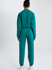 Джогери DeFacto модель A9630AX-GN380 Джогери DeFacto модель A9630AX-GN380 Фото