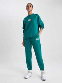 Джогери DeFacto модель A9630AX-GN380 Джогери DeFacto модель A9630AX-GN380 Фото