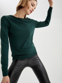 Джемпер DeFacto модель F7091AZ-GN516 Фото