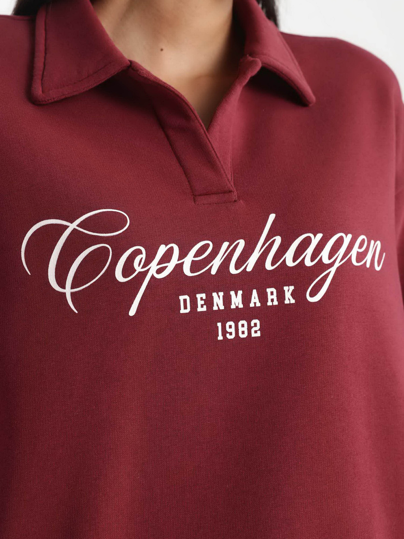 Свитшот DeFacto модель B2207AX-BR115 Фото