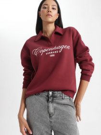 Свитшот DeFacto модель B2207AX-BR115 Фото